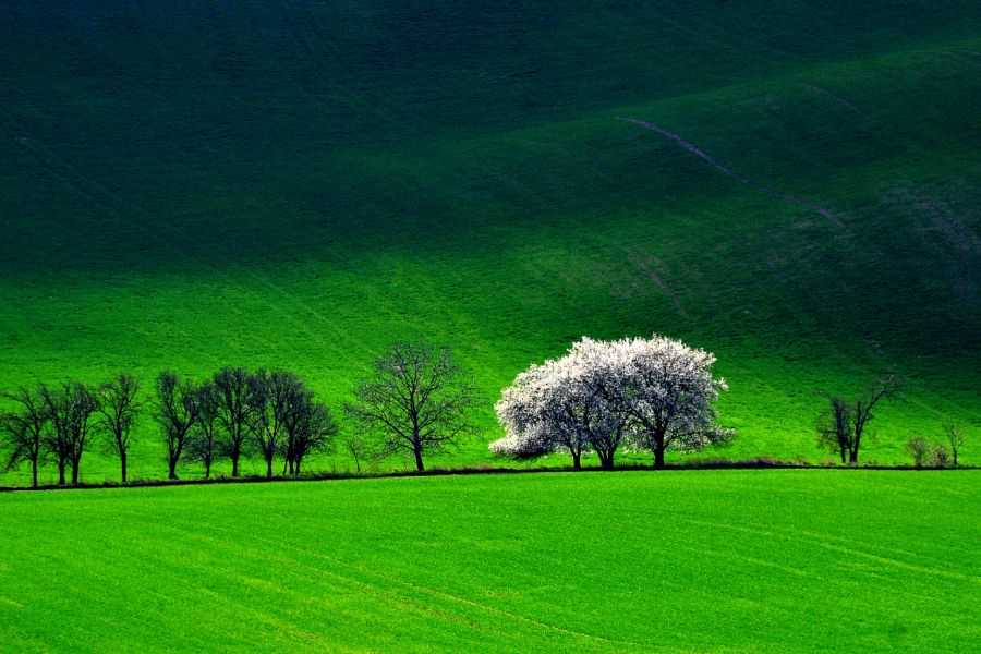 12res_900x600